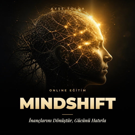 MINDSHIFT - Ayşe Tolga eğitim kapağı