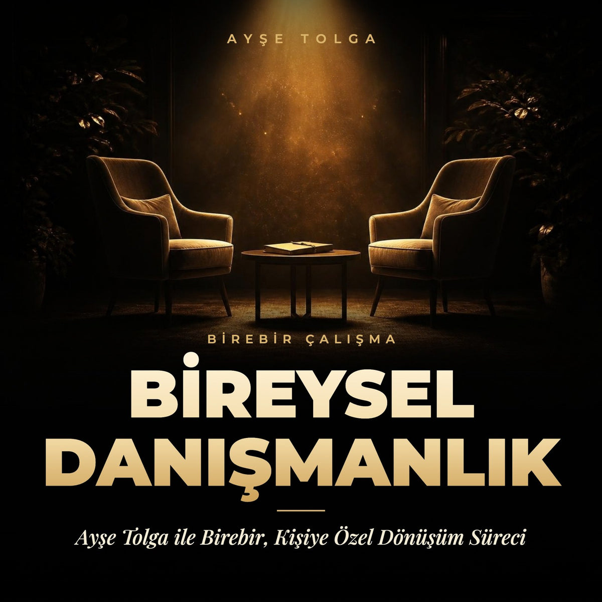 Bireysel Danışmanlık - Ayşe Tolga