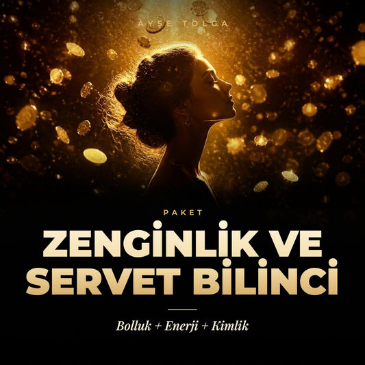 ZENGİNLİK VE SERVET BİLİNCİ Paketi - Ayşe Tolga