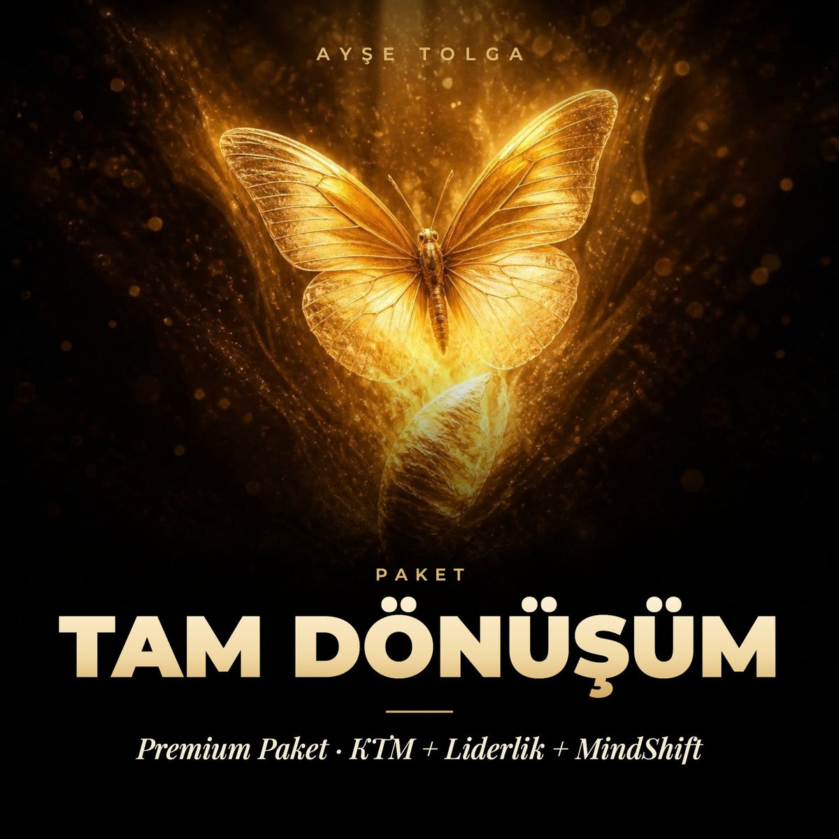TAM DÖNÜŞÜM Premium Paket - Ayşe Tolga