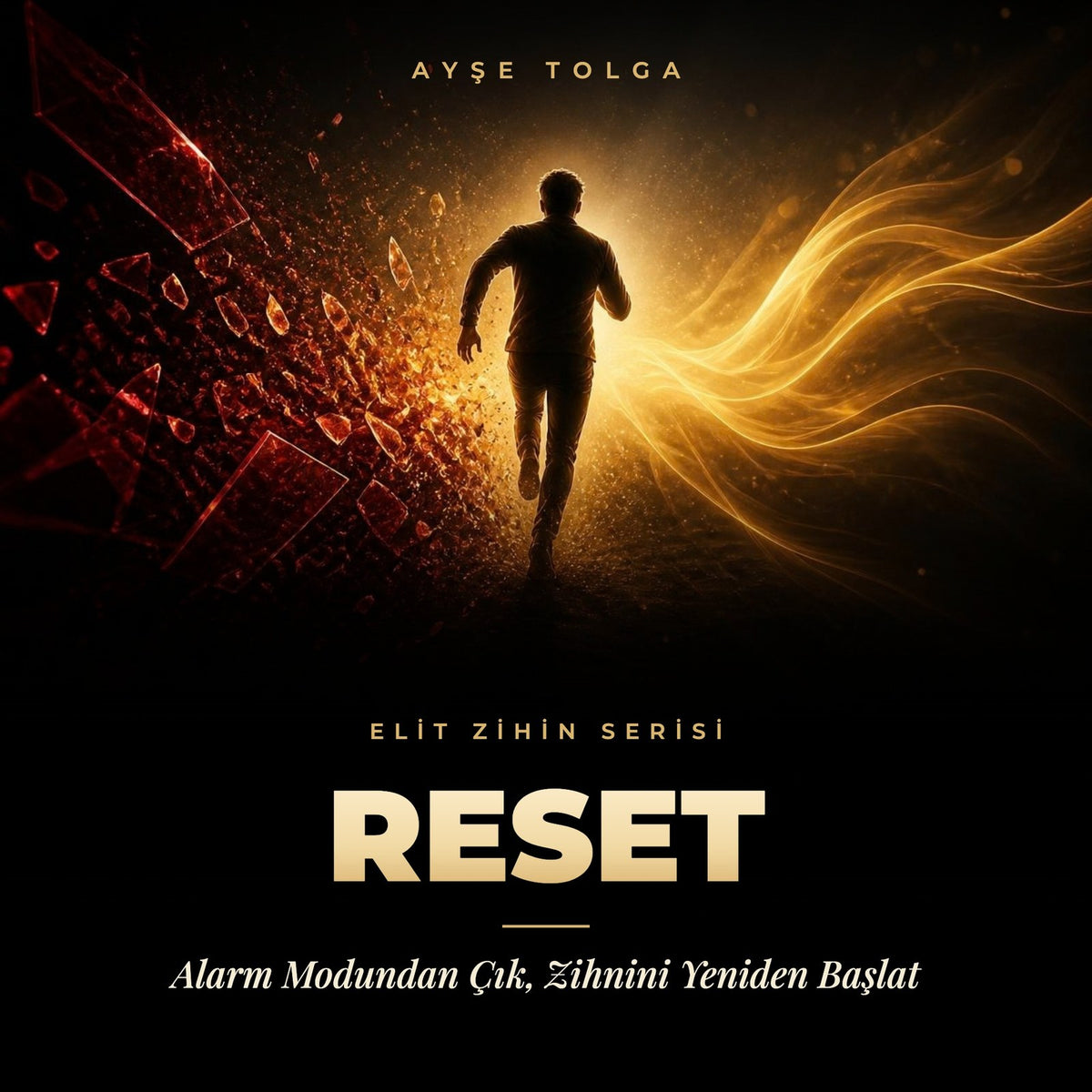 RESET - Ayşe Tolga eğitim kapağı